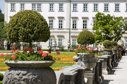 Plants in the Mirabell Park in Salzburg, Austria