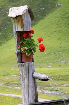 Garden decoration on an alpine pasture in South Tyrol