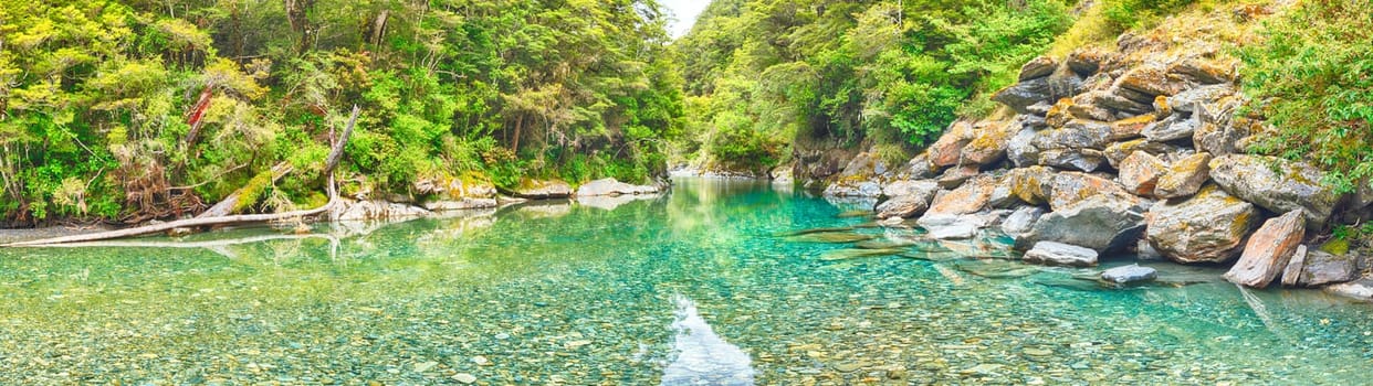 Beautiful stream (Haast Pass, South Island, New Zealand)