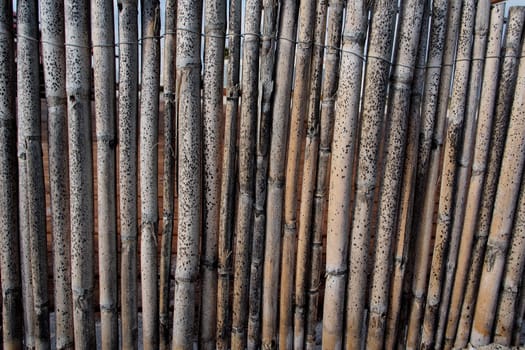 fence made of dried reeds