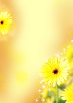 a spring and summer flower background with yellow gerberas