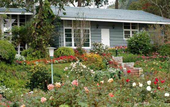 garden
