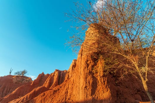 Tatacoa desert in Huila, Colombia with beautiful golden sunlight