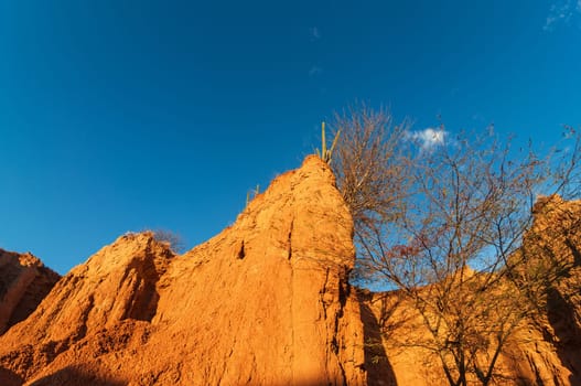 Wall of small desert canyon in golden light in Huila, Colombia