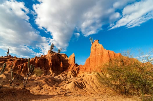 View of desert valley with dramatic rock formations and cactus