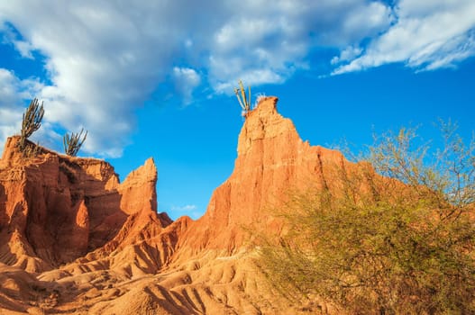 Red landscape and cactus of Tatacoa desert in Huila, Colombia