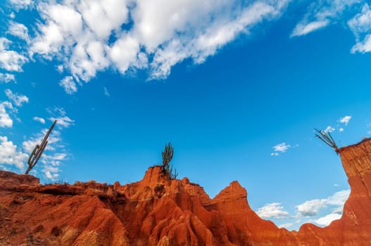 Wide view of red desert landscape with cactus and blue sky in Colombia