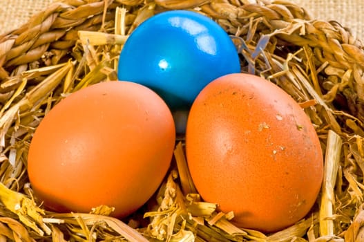 Organic eggs from Germany