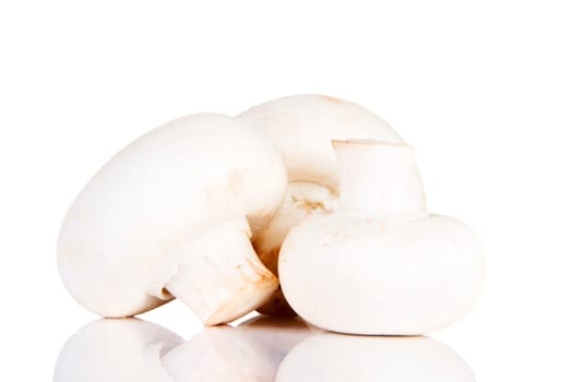 Edible button mushroom, 	champignon, isolated on white background