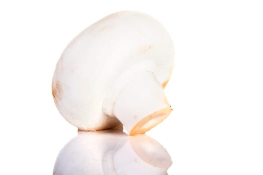 Edible button mushroom, 	champignon, isolated on white background