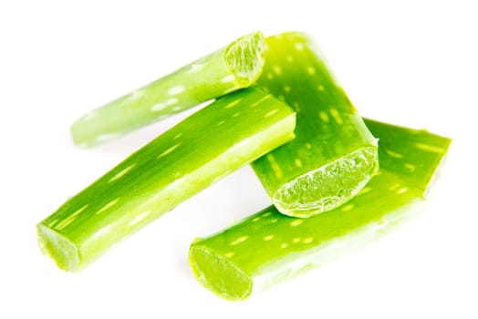 Aloe vera fresh leaf.