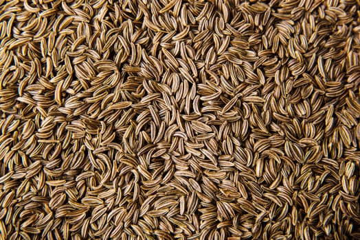 Dried cumin seeds