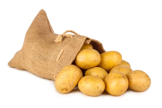 fallen potato sack