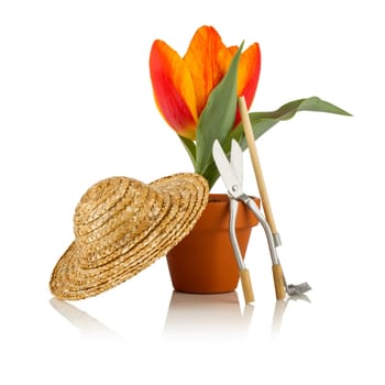tulip with sun hat and gardening tools