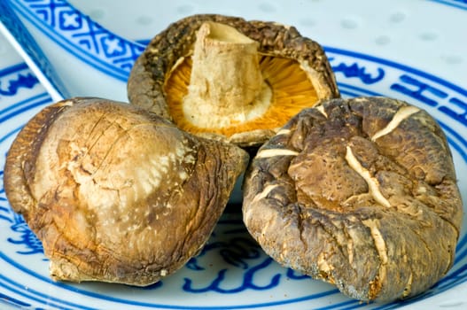 Shiitake mushrooms