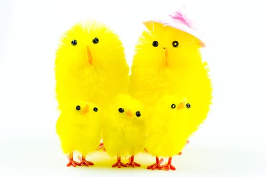 A family of easter chicks