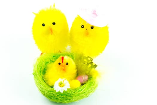Easter chicks family