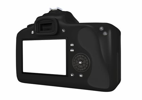Digital SLR Camera - Display Cropped 2