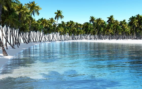 Surrounded by palm trees