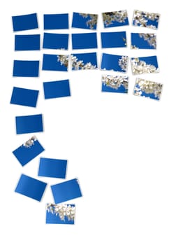 Photo Puzzle - White Cherry Blossoms