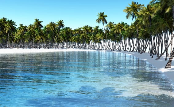 Tropical view