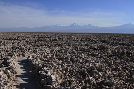 Salar de Atacama
