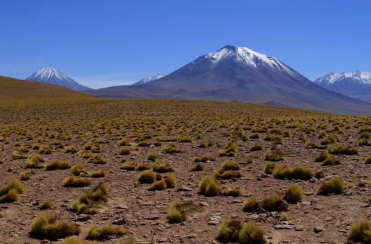 Salar de Atacama