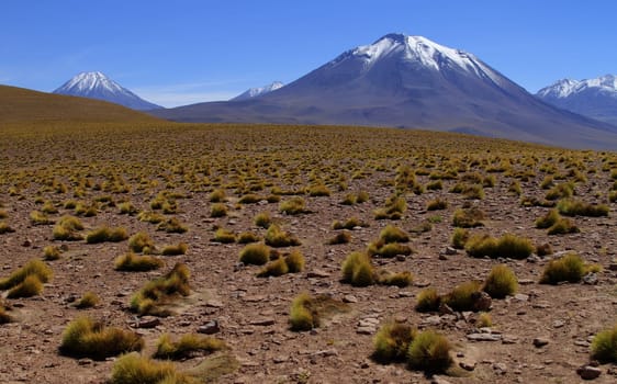 Salar de Atacama