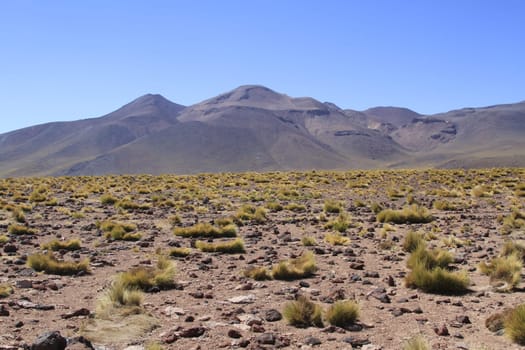 Salar de Atacama
