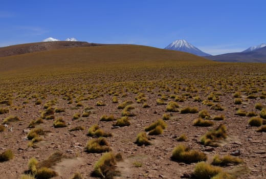 Salar de Atacama