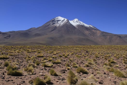 Salar de Atacama