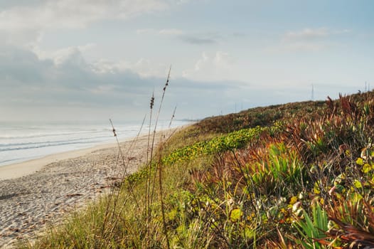 Morning at Cape Canaveral National Seashore with Dunes.