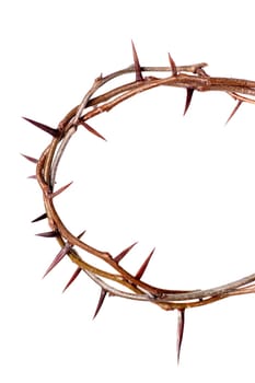 Crown of Thorns isolated on white