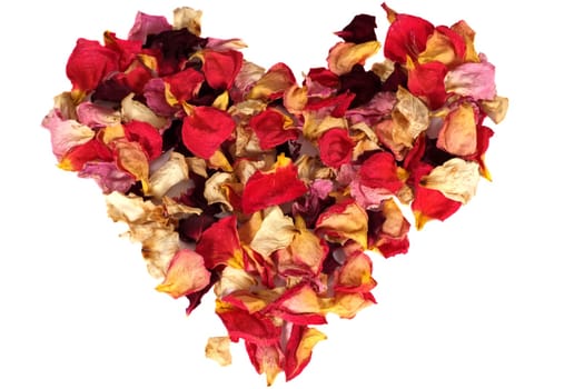 Dry rose petals heart on white background