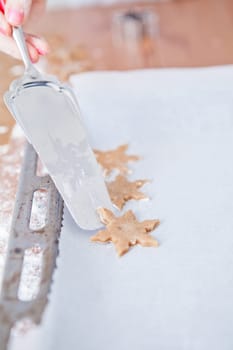 Closeup of star shaped gingerbread dough pieces being placed on baking paper with metal server