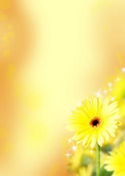 a yellow gerbera background with flower blossom and shining stars