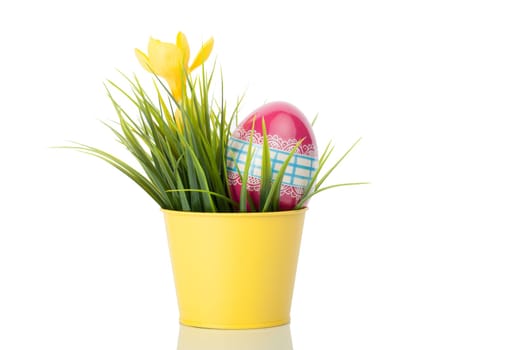 Yellow crocus flower in a yellow pot with a decorated egg against a white background.