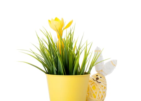 Cute little hand decorated Easter bunny egg with a smiling face alongside a flowering spring bulb with a yellow flower in a flower pot isolated on white with copy space