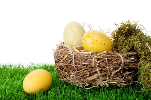 Still life arrangement of natural and dyed traditional Easter Eggs in a neat straw nest with moss on green grass against a white background with copy space