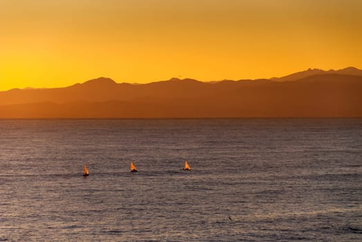 sailboats at sunset in Genoa