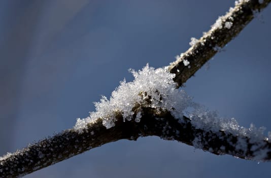 Frost