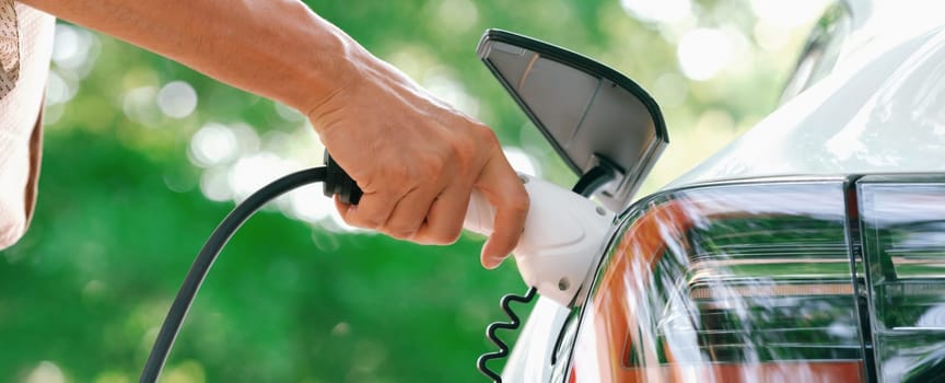 Closeup man recharge electric car's battery from charging station in outdoor green city park in springtime. Rechargeable EV car for sustainable environmental friendly urban travel lifestyle. Expedient