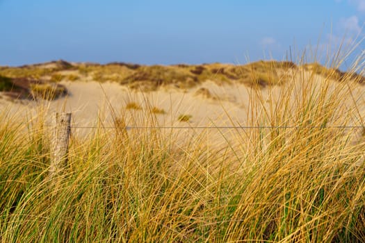 Sunny Day on Sandy Dunes in The Hague, Netherlands: Amazing Sand Dunes of Europe.