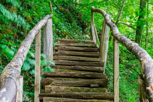 Tranquil Trails: Exploring the Scenic Beauty of Plitvice Lakes National Park in Croatia, Immersing in the Serenity of Nature's Symphony