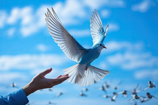 a bird flying in the air with its wings spread out and it is about to land on someone's hand