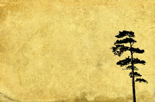 Pine tree illustration on vintage paper background