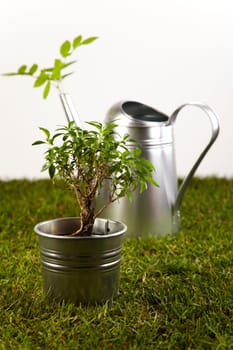Gardening concept
