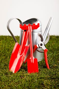 Gardening time, garden
