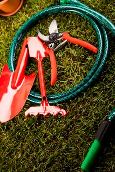 Gardening time, garden