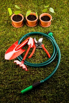 Gardening time, garden